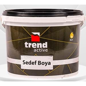 Trend Active Sedef Boya 2.5 lt (Gümüş)