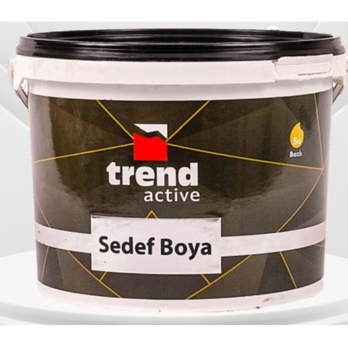 Trend Active Sedef Boya 0.75 Lt (Gümüş)
