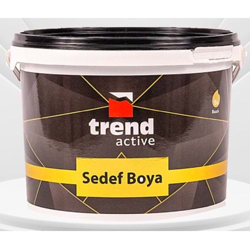 Trend Active Sedef Boya 2.5 lt (Varak)